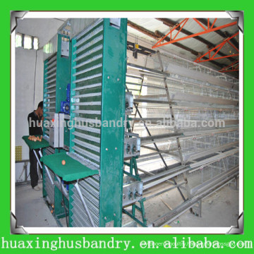 china popular and good quality poultry mesh plant